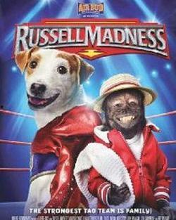 罗素的疯狂（国语版）,揭秘哲学巨匠的异想世界