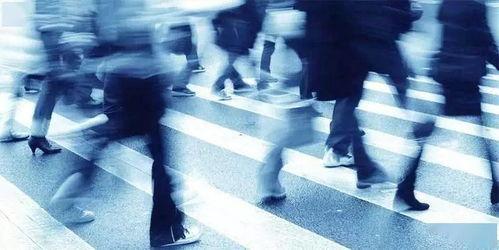 下层人,探寻社会底层群体的真实生活