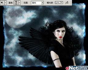 黑夜天使,揭秘神秘的黑夜天使